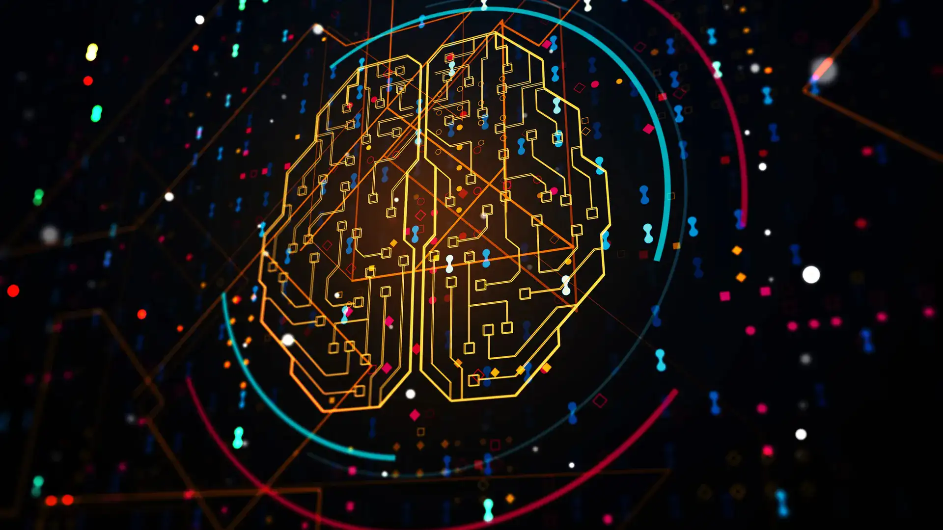 Microcircuit en forme de cerveau humain - IA et réseaux de neurones